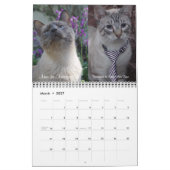 2019 Team iCat tragen für immer ein Kalender (Mär 2027)