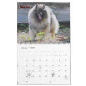 2019 Trompetekeeshond-Kalender Kalender (Jan 2027)