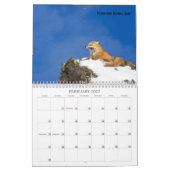 2019 US Public Lands Wildlife Calendar Kalender (Feb 2027)