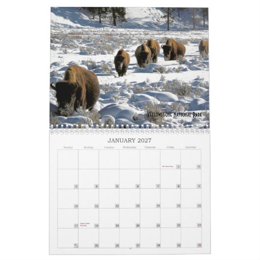 2019 US Public Lands Wildlife Calendar Kalender (Jan 2027)