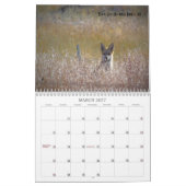 2019 US Public Lands Wildlife Calendar Kalender (Mär 2027)