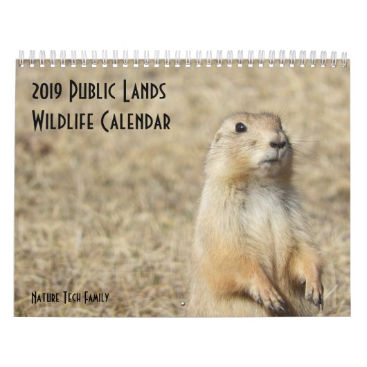 2019 US Public Lands Wildlife Calendar Kalender (Titelbild)