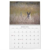 2019 US Public Lands Wildlife Calendar Kalender (Mär 2026)