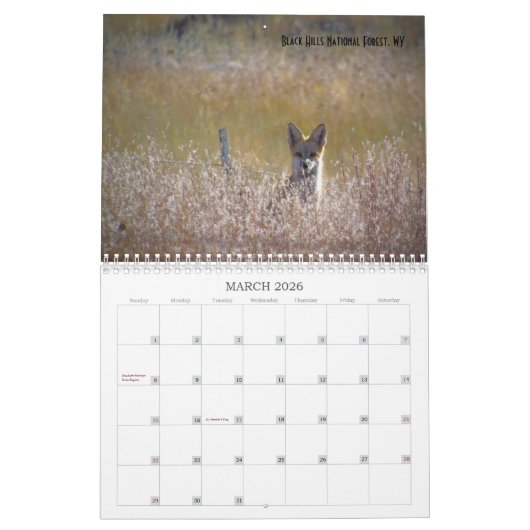 2019 US Public Lands Wildlife Calendar Kalender (Mär 2026)