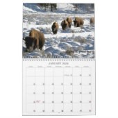 2019 US Public Lands Wildlife Calendar Kalender (Jan 2026)