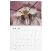2019 Wanzen-mit Augen Kalender (Jan 2027)