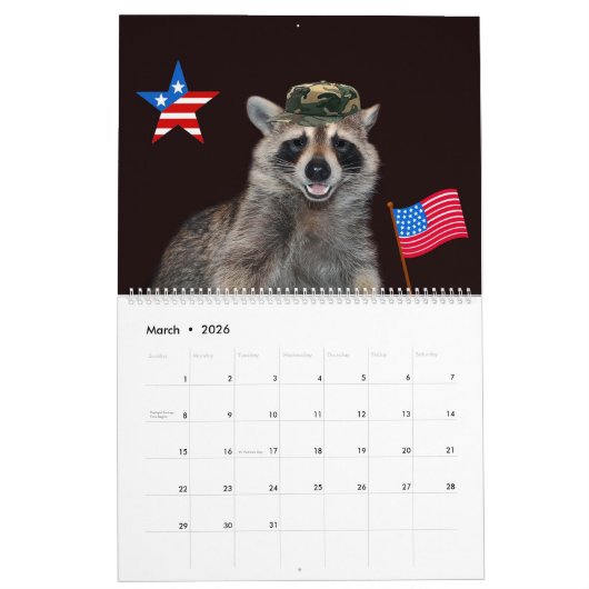2020 12 Monate Raccoon-Kalender Kalender (Mär 2026)