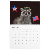 2020 12 Monate Raccoon-Kalender Kalender (Mär 2027)