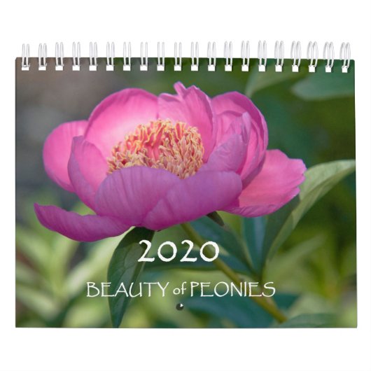 2020 Beauty of Peonies Kalender (Titelbild)