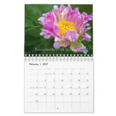 2020 Beauty of Peonies Kalender (Feb 2027)