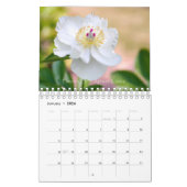 2020 Beauty of Peonies Kalender (Jan 2026)
