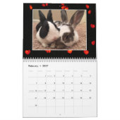 2020 Bunny Rescue & Bildung Kalender (Feb 2027)