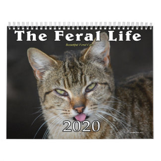 2020 Der Kalender der Wildkatzen