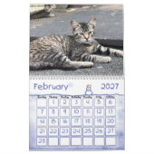 2020 Der Kalender der Wildkatzen (Feb 2027)