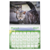 2020 Der Kalender der Wildkatzen (Mär 2027)