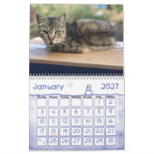 2020 Der Kalender der Wildkatzen (Jan 2027)