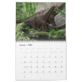 2020 DINOSAUR CALENDAR WELT KALENDER (Jan 2027)
