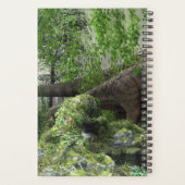2020 DINOSAUR WORLD Daily Planer (Rückseite)