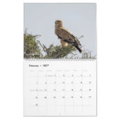 2020 Etosha Nationalpark-Kalender Kalender (Feb 2027)