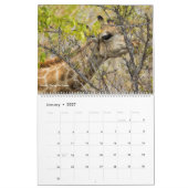 2020 Etosha Nationalpark-Kalender Kalender (Jan 2027)