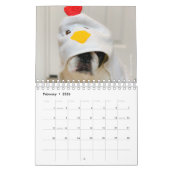 2020 Französischer Bulldog-Kalender - Cooper the F Kalender (Feb 2026)