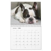 2020 Französischer Bulldog-Kalender - Cooper the F Kalender (Jan 2026)