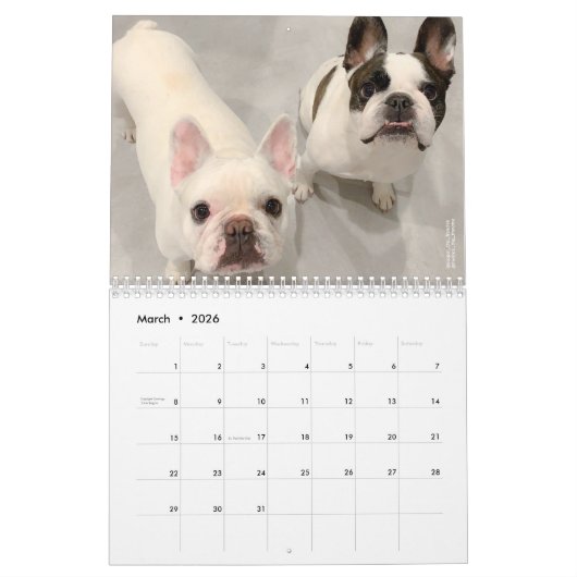 2020 Französischer Bulldog Kalender für Hundefreun (Mär 2026)