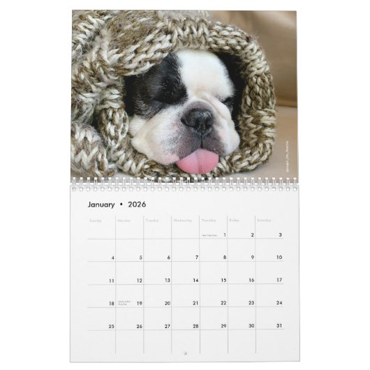 2020 Französischer Bulldog Kalender für Hundefreun (Jan 2026)