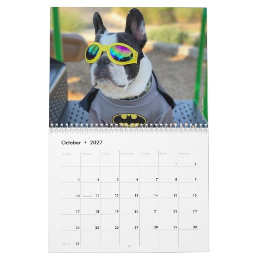 2020 Französischer Bulldog Kalender für Hundefreun (Okt 2027)