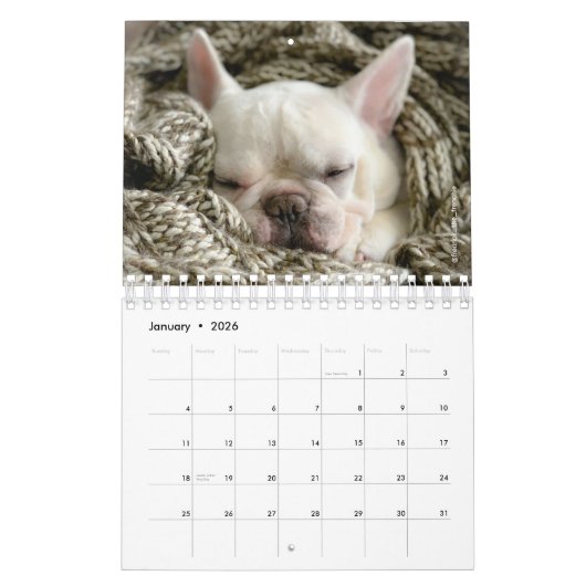2020 French Bulldog Calendar-Fredrick the Frenchie Kalender (Jan 2026)