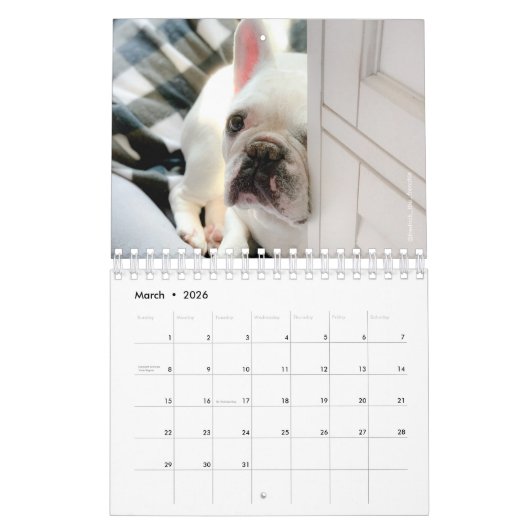 2020 French Bulldog Calendar-Fredrick the Frenchie Kalender (Mär 2026)