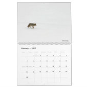 2020 jährlicher Natur- und Wildtierkalender... Kalender (Feb 2027)