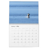 2020 Kalendar Southern Resident Killer Wale Kalender (Jan 2026)