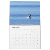 2020 Kalendar Southern Resident Killer Wale Kalender (Jan 2027)