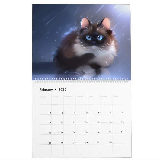 2020 Kalender - Alles über Katzen! (Feb 2026)