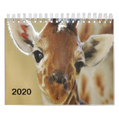 2020 KalenderGiraffe Kalender (Titelbild)
