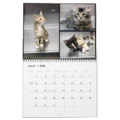 2020 Kalenders für Granite Hills Tierpflege Kalender (Mär 2026)