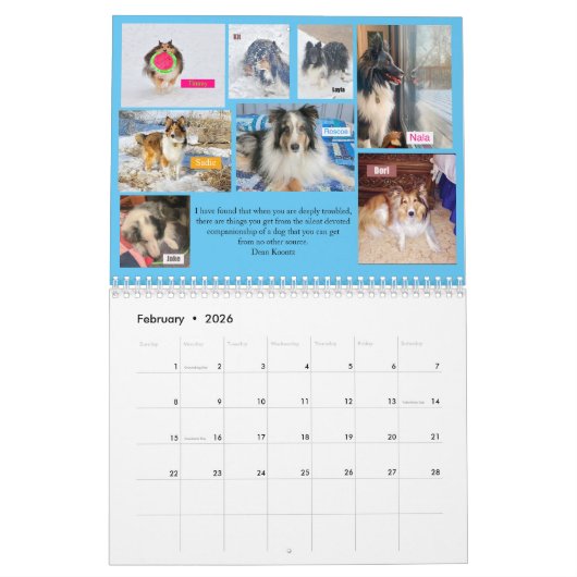 2020 MINNESOTA SHELTIE RESCUE CALENDAR KALENDER (Feb 2026)