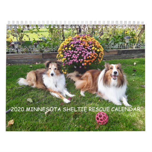 2020 MINNESOTA SHELTIE RESCUE CALENDAR KALENDER (Titelbild)