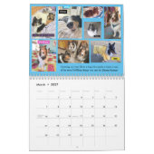 2020 MINNESOTA SHELTIE RESCUE CALENDAR KALENDER (Mär 2027)