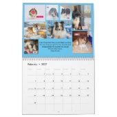 2020 MINNESOTA SHELTIE RESCUE CALENDAR KALENDER (Feb 2027)
