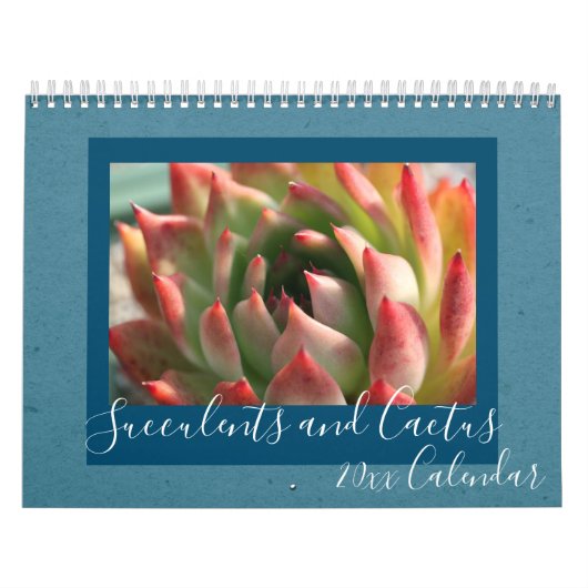 2020 Moderne Skriptsukkulente und Kakteen Kalender (Titelbild)