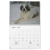 2020 Niedlich Hunde Breed Saint Bernard Puppy Kalender (Feb 2027)