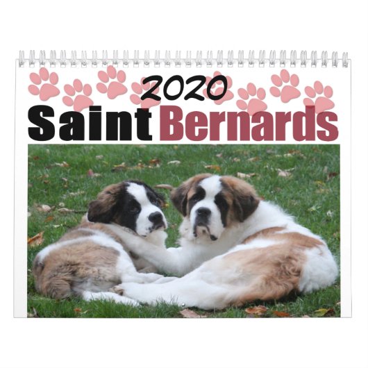 2020 Niedlich Hunde Breed Saint Bernard Puppy Kalender (Titelbild)