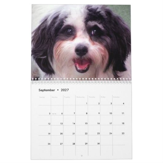 2020 niedlicher Kalender K-Cee Zuchon Hunde (Sep 2027)