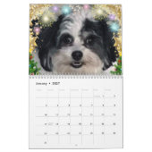 2020 niedlicher Kalender K-Cee Zuchon Hunde (Jan 2027)