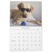 2020 Oli the Golden Labrador Kalender (Mär 2027)