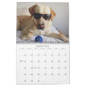 2020 Oli the Golden Labrador Kalender (Mär 2026)