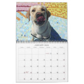2020 Oli the Golden Labrador Kalender (Jan 2026)