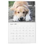2020 ParkerPup & Friends Golden Retriever Kalender (Mär 2027)